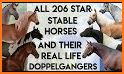 Star Stable Horses related image