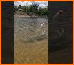 Fish & Catch related image