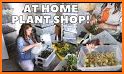 Plant Shop related image