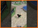 zBox MM 2 Tips related image