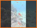 Visible Biology related image