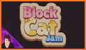 Block Cat Jam related image