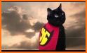 Super Hero Cat Run related image