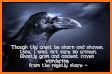 Reading Raven related image