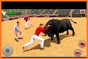 Real Angry Bull Fighting Game related image