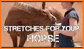 Stretch Your Horse related image