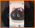 Fluffy Sushi Live Wallpaper related image