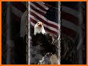American Flag Eagle Theme related image