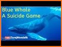 BlueWhale VPN related image