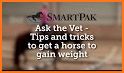Healthy Horse - Determining a horse’s body weight related image