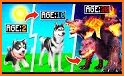 Dog Life Simulator 3d Game related image