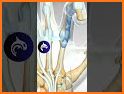Orthopedic Anatomy related image