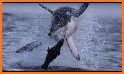 Shark Hunting: Deadly Beach related image