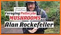 New Jersey Mushroom Forager related image