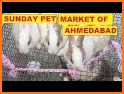 Pet Market, buy & sell related image