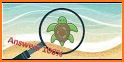 Tortuga Quiz related image