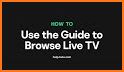 Live TV Shows Guide related image