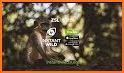 ZSL Instant Wild related image