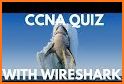 CCNA Quiz related image