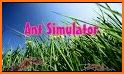 Ant War Simulator LITE - Ant Survival Game related image
