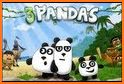 3 Pandas — Escape Game related image