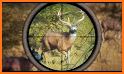 Hunting Games 2020 : Wild Deer Hunting related image