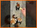 Rocky Red Panda's Professions Puzzle related image