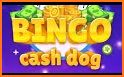 Solitaire Bingo : Cash Puzzle related image