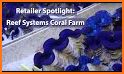 Coral System Deck related image