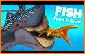 Helper For Feed Fish And Grow related image
