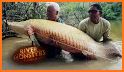 River Monsters Fish On! related image
