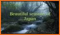 Seasons of Japan related image