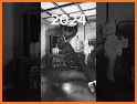 Poppy 2021 related image