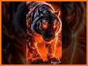 Tiger Wallpapers 4K related image