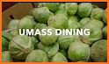 UMass Dining Services related image