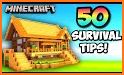 Survival Minicraft 2020 related image