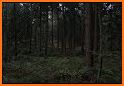 Dark Forest related image