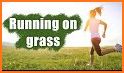 Grass Run related image