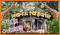 Zoo Lucknow related image