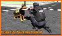 Police Tiger Chase Simulator: City Crime related image
