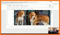 Objects Detection Machine Learning TensorFlow Demo related image