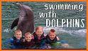 My Dolphin Care - Baby Dolphin Twins Pet Care related image