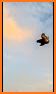 Real Bird Hunting Adventure: Bird Shooting Games related image