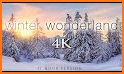 Winter Paradise 4K Live Wallpaper related image