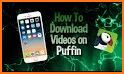 Puffin for YouTube related image