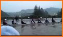 BoatCoach for rowing & erging related image