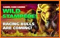 Camel Cash Casino - 777 Slots related image