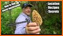 Ohio Mushroom Forager Map Morels Chanterelles related image