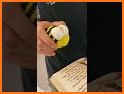 BeeShort related image
