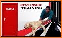 Woofz - Smart Dog Training related image